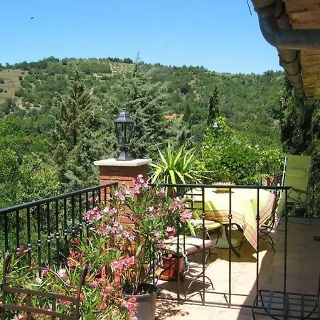 Le Vallespir Apartment